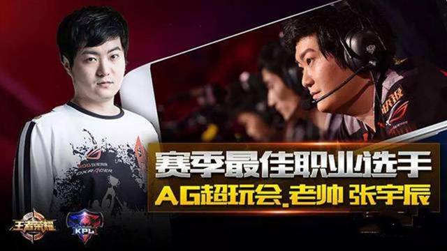 纳的整体战